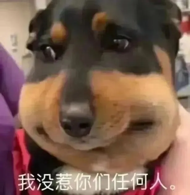 我没惹你们任何人。（我没惹你们任何人。）