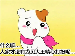 什么嘛，人家才没有 为见大王精心打扮呢。。。（什么嘛，人家才没有 为见大王精心打扮呢。。。）