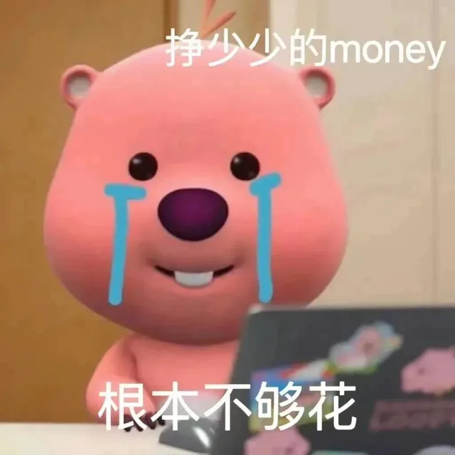 挣少少的money根本不够花（挣少少的money根本不够花）
