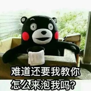 日本国宝熊本熊_表情头牌_动图_熊本熊_搞笑_卡通