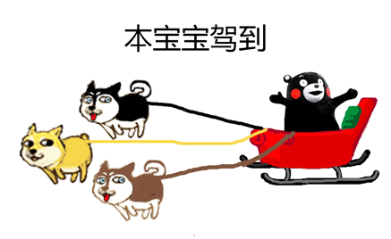 三只doge牵着熊本熊（三只doge牵着熊本熊）
