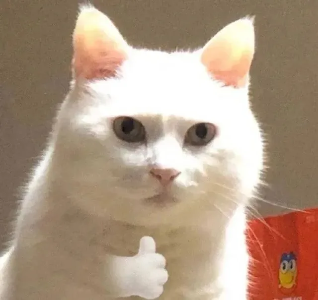 00