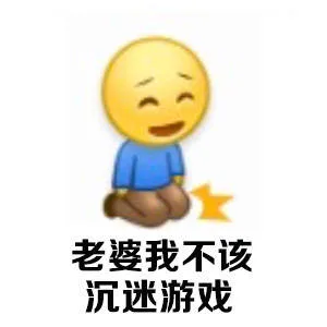 老婆我不该沉迷游戏