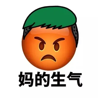 妈的生气