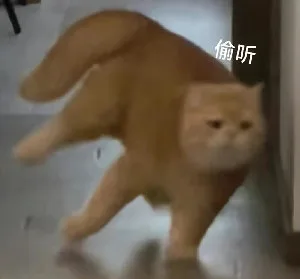 偷听（偷听）