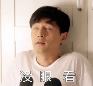 没眼看