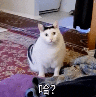 哈？（哈？）