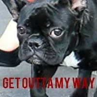 GET OUTTA MY WAY
