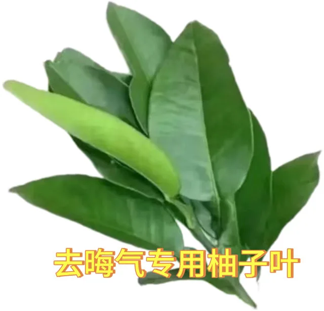 去晦气专用柚子叶（去晦气专用柚子叶）