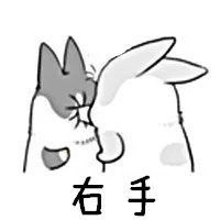 右手