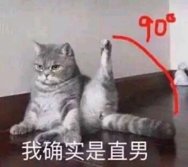 90我确实是直男(猫猫表情包)（90我确实是直男(猫猫表情包)）