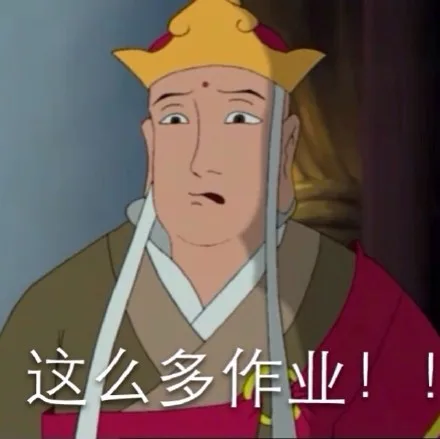 这么多作业！！！（这么多作业！！！）