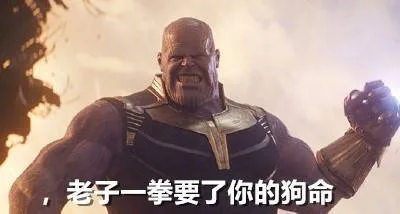 都子一拳要了你的狗命（都子一拳要了你的狗命）