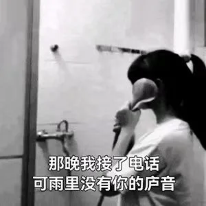那晚我接了电话可雨里没有你的庐音（那晚我接了电话可雨里没有你的庐音）