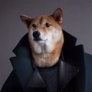 狗子Chic穿大衣