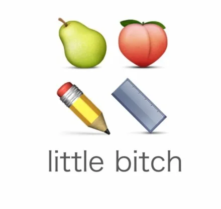 little bitch（little bitch）
