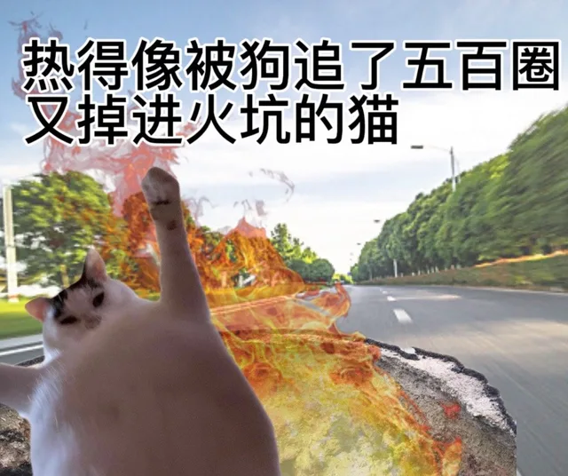 热得像被狗追了五百圈叉掉进火坑的猫（热得像被狗追了五百圈叉掉进火坑的猫）