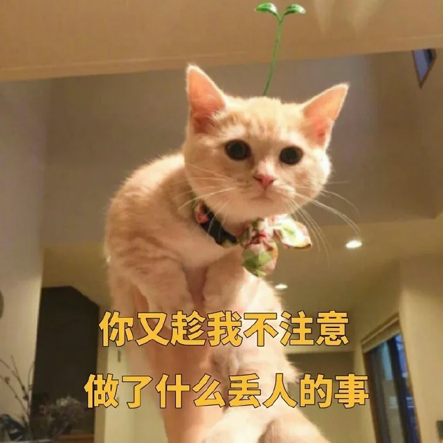 你又趁我不注意故了什么丢人的事（你又趁我不注意故了什么丢人的事）
