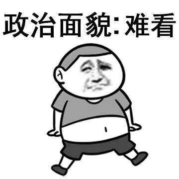 政治面貌：难看