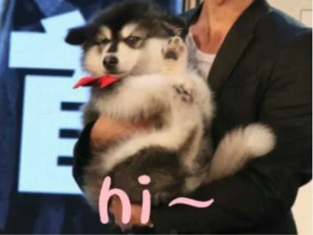 hi