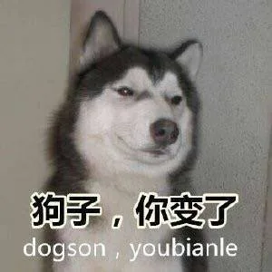 【狗狗怼人系列】哦呦，你那么吊，和我怼一下看看谁厉害_狗子_doge_怼人表情