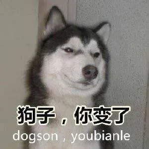 【狗狗怼人系列】哦呦，你那么吊，和我怼一下看看谁厉害_狗子_doge_怼人表情