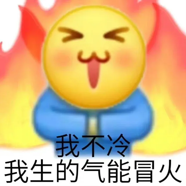 我不冷我生的气能冒火（我不冷我生的气能冒火）