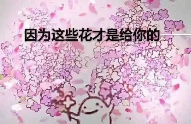 因为这些花才是给你的
