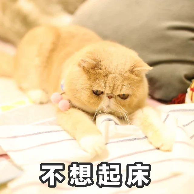 不想起床