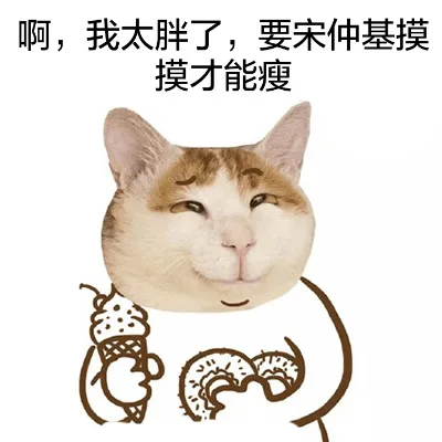 猫头宋仲基表情_动图_宋仲基_猫星人_可爱