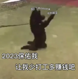 2023新年祝福表情包