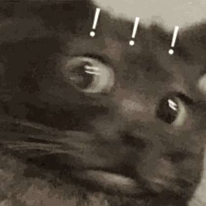 !!!5（!!!5）