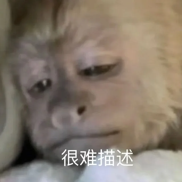 很难描述(猴子表情包)（很难描述(猴子表情包)）