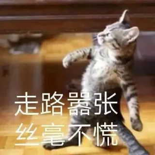 沙雕猫咪表情包