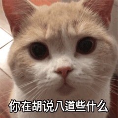你在胡说八道些什么（你在胡说八道些什么）