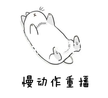 慢动作重播