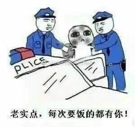 老实点，每次要饭的都有你（警察 police）