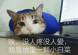 哎 没人疼没人爱，我就是地里一颗小白菜