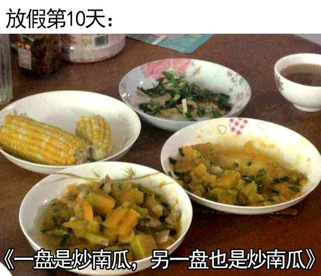放假第10天:《一盘是炒南瓜,另一盘也是炒南瓜（放假第10天:《一盘是炒南瓜,另一盘也是炒南瓜）