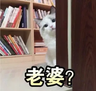 一组猫咪斗图表情 一起吸猫_猫_喵星人表情包