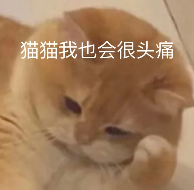 猫猫我也会很头痛（猫猫我也会很头痛）