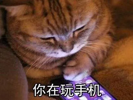 你在玩手机（你在玩手机）