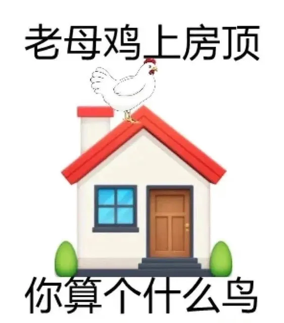 老母鸡上房顶你算个什么鸟（老母鸡上房顶你算个什么鸟）