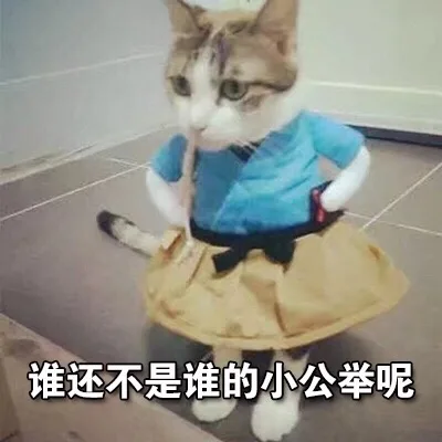 谁还不是谁的小公举呢