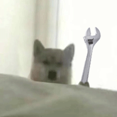 doge狗狗拿扳手动图表情包