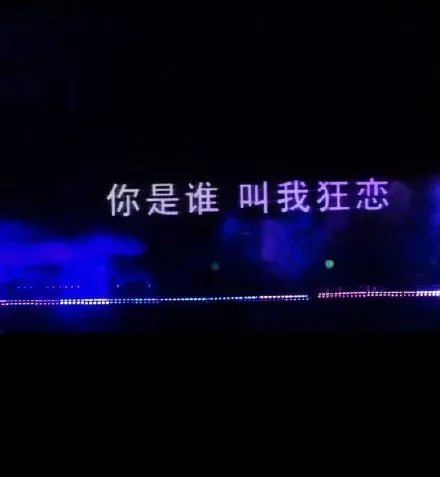 你是谁叫我狂恋