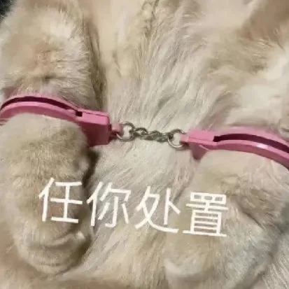 任你处置（任你处置）