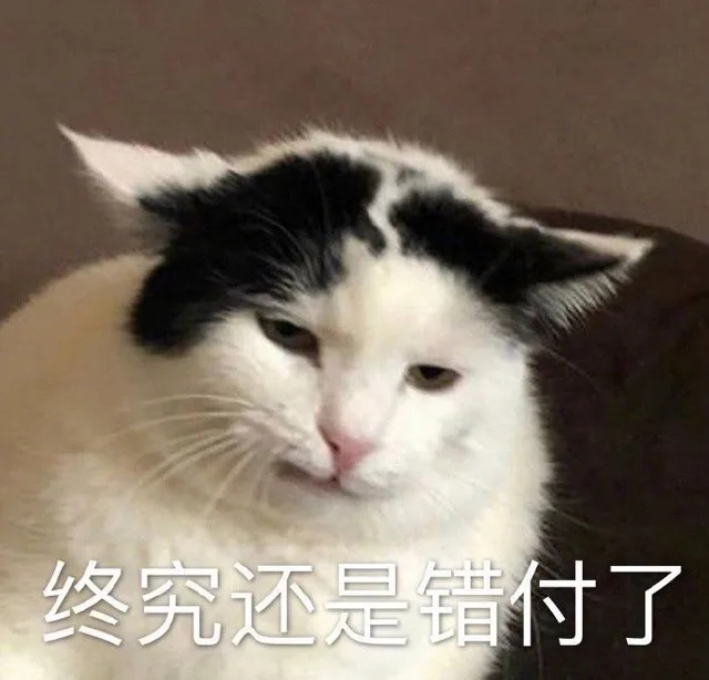 终究还是错付了（终究还是错付了）