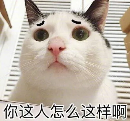 你这人怎么这样啊