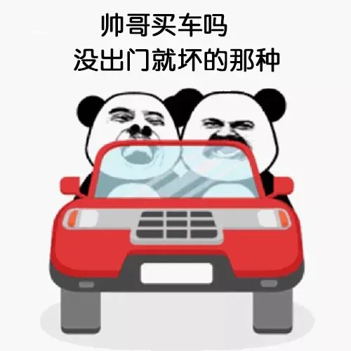 帅哥买车吗没出门就坏的那种